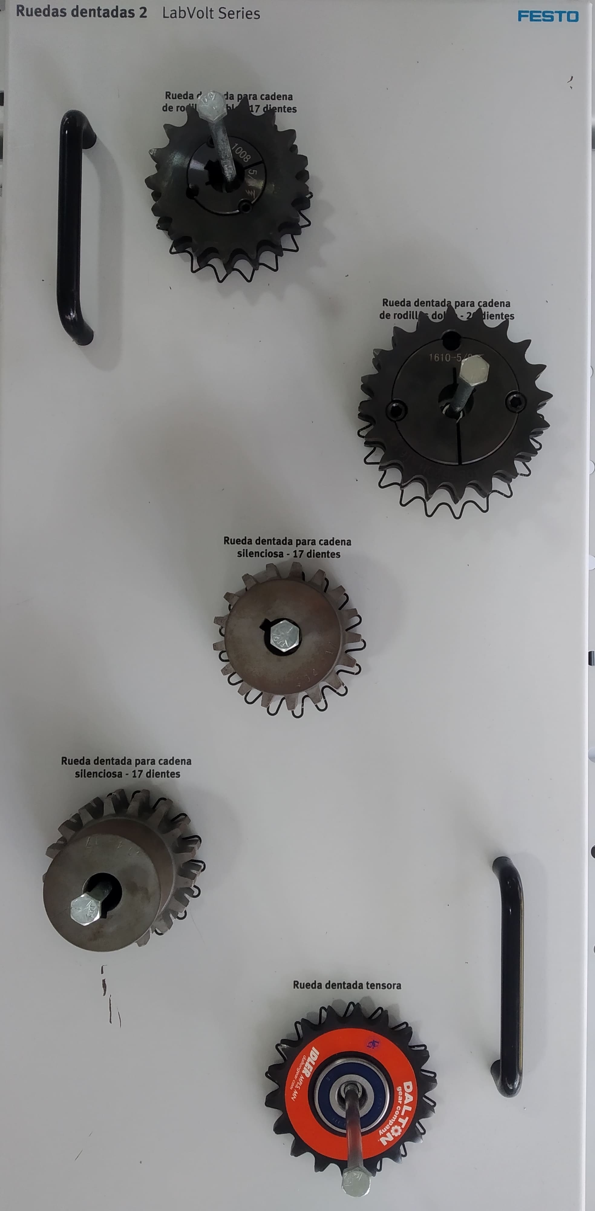 Ruedas dentadas 2